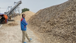 chu tich ubnd tinh vinh phuc chi dao giai quyet de nghi cong ty co phan thuong mai thu do