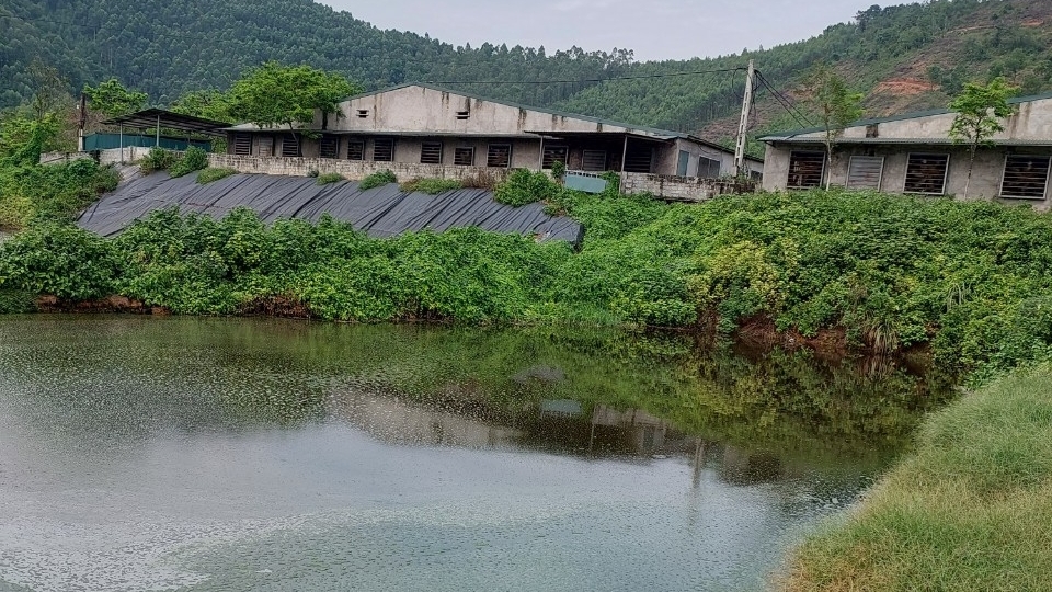 Bình Xuyên - Vĩnh Phúc: Kiểm tra, xử lý vi phạm đất đai tại xã Trung Mỹ