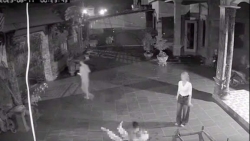 nguoi vo nghi sat hai chong o phu tho bi tam giu hinh su