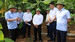 lanh dao tinh phu tho kiem tra chi dao xu ly sat lo bo vo song tai xa hien quan