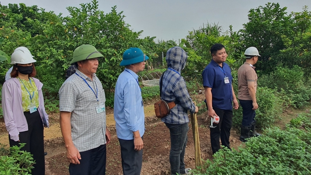 Vĩnh Phúc: Cưỡng chế thu hồi đất phục vụ dự án phát triển đô thị phường Phúc Thắng