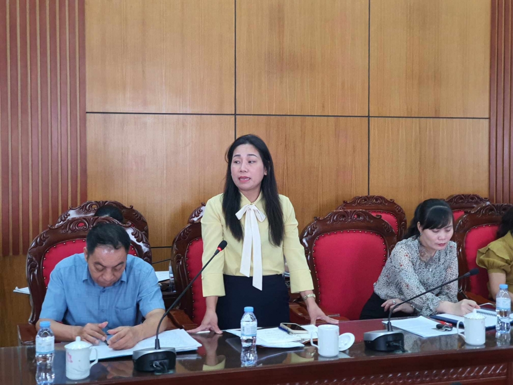 Trưởng phòng Văn hóa thông tin huyện Bình Xuyên báo cáo tiến độ xây dựng Làng văn hóa kiểu mẫu