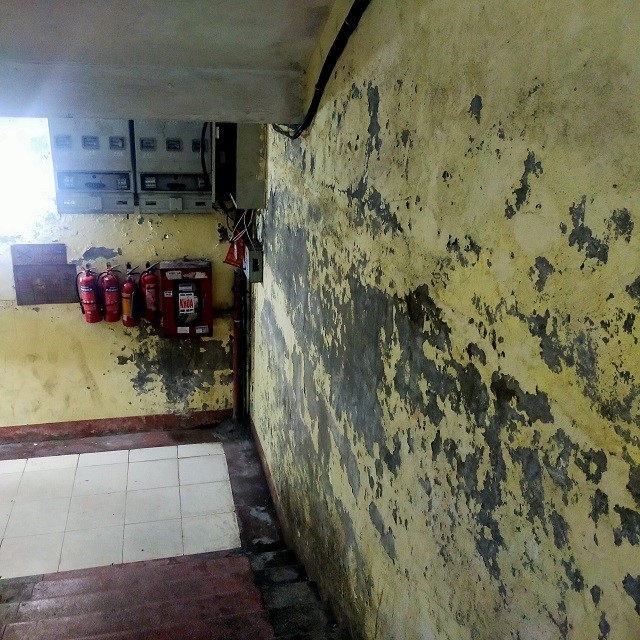 Tường nhà chung cư B8, P.Thanh Miếu bị ngấm nước, gây bong tróc sơn và dễ xảy ra cháy chập điện