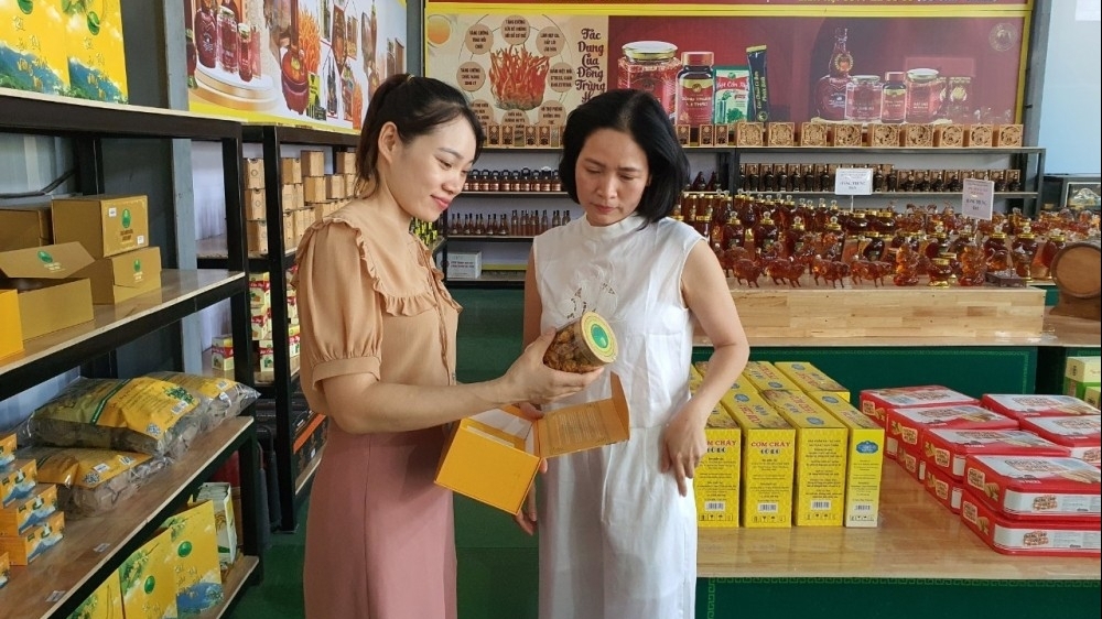 Vĩnh Phúc: Xây dựng môi trường du lịch văn minh, thân thiện