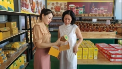 vinh phuc xay dung moi truong du lich van minh than thien