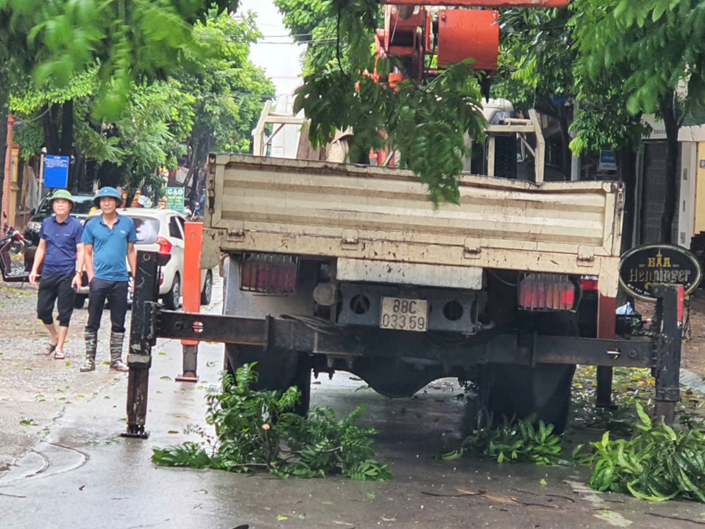 Đơn vị chức năng cắt cây có nguy cơ đổ ở phường Hùng Vương