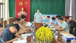 huyen binh xuyen kiem tra xu ly vi pham dat dai tai khu vuc nui dinh