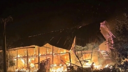 phu tho kip thoi dap tat dam chay tai khu du lich vuon vua