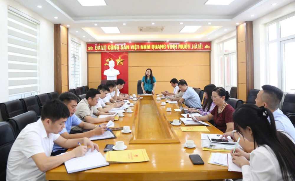 Đồng chí Vũ Thị Hoài Phương, Phó Giám đốc Sở Văn hoá, Thể thao và Du lịch tỉnh phát biểu tại buổi làm việc