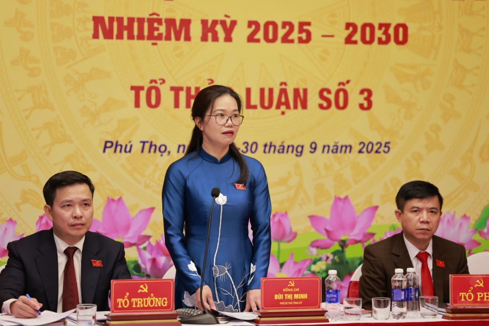 Đồng chí Bùi Thị Minh - Phó Bí thư Tỉnh ủy phát biểu tại Tổ thảo luận số 3