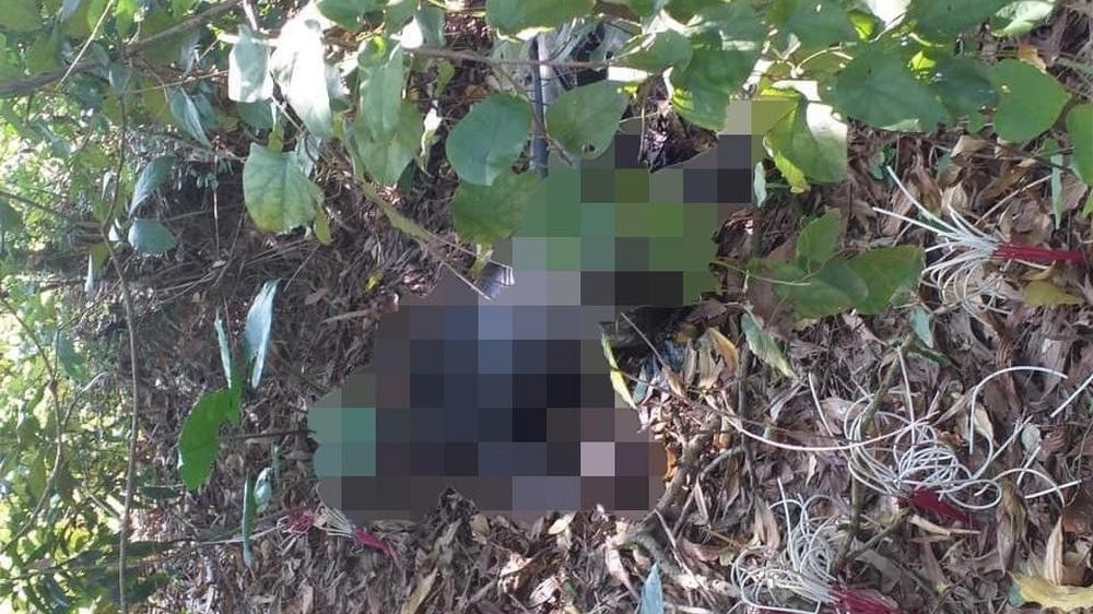 Quảng Ninh: Phát hiện thi thể đã phân hủy trơ xương trong rừng