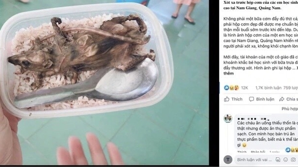 Đà Nẵng: Xử phạt hành chính người đăng tin sai sự thật học sinh vùng cao ăn thịt chuột