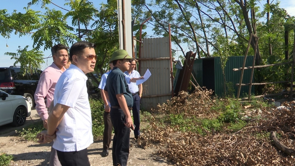 Đồng chí Phan Tiến Dũng, Chủ tịch UBND thành phố kiểm tra các trường hợp xây dựng vi phạm đất đai trên địa bàn xã Cao Minh