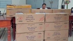 Nghệ An: Bắt đối tượng buôn bán hơn nửa tấn pháo nổ