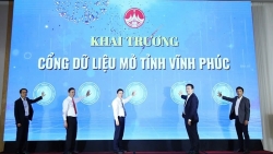 khai truong cong du lieu mo tinh vinh phuc