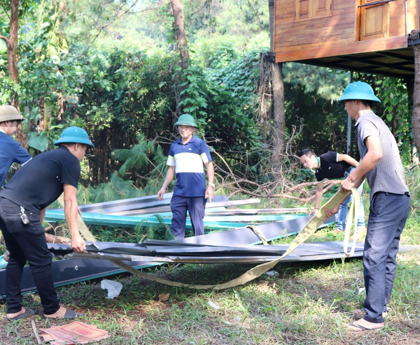 Lực lượng tham gia hỗ trợ 