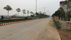 xa tho tang chuan bi dau gia 28 thua dat gia khoi diem 10 trieu dongm2