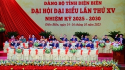 dai hoi dai bieu dang bo tinh dien bien lan thu xv tien hanh phien tru bi