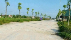 phu tho chuan bi dau gia 6 o dat tai phuong vinh phuc