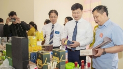 nong dan phuong vinh phuc phat huy vai tro nong cot trong kinh te nong nghiep