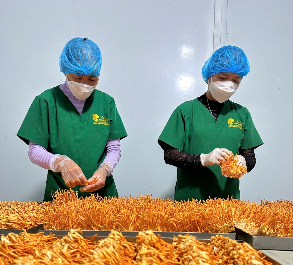 Xã Tam Đảo: Xây dựng nông thôn mới từ “lượng” sang “chất” Xã Tam Đảo: Xây dựng nông thôn mới từ “lượng” sang “chất”