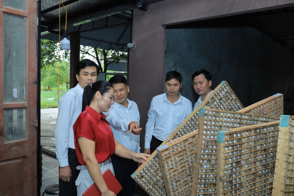 Xã Tam Đảo: Xây dựng nông thôn mới từ “lượng” sang “chất” Xã Tam Đảo: Xây dựng nông thôn mới từ “lượng” sang “chất”