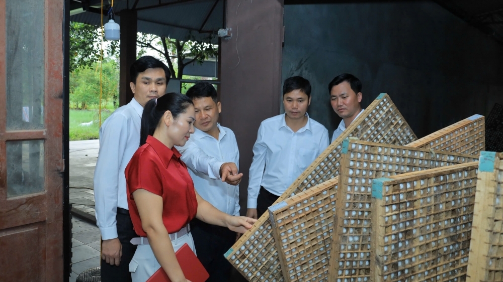 Xã Tam Đảo: Xây dựng nông thôn mới từ “lượng” sang “chất”