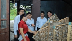 Xã Tam Đảo: Xây dựng nông thôn mới từ “lượng” sang “chất”