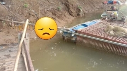 tuyen quang tim thay thi the nan nhan mat tich trong vu lat do tren song lo