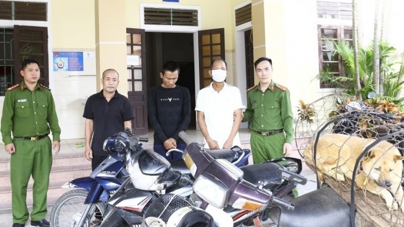Khởi tố 2 đối tượng bắt và tiêu thụ chó trộm ở Hà Tĩnh
