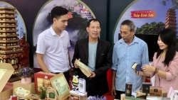 xuc tien quang ba du lich vinh phuc