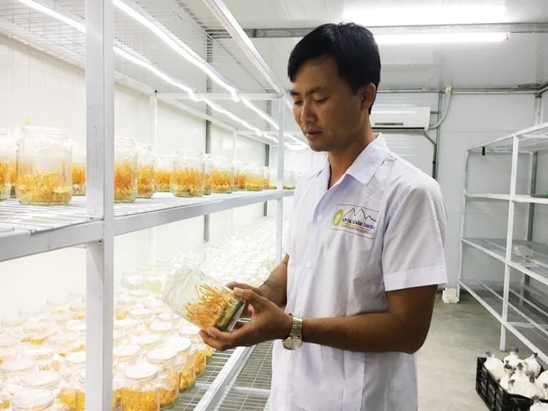 Phú Thọ: Thúc đẩy phát triển nông nghiệp công nghệ cao Phú Thọ: Thúc đẩy phát triển nông nghiệp công nghệ cao