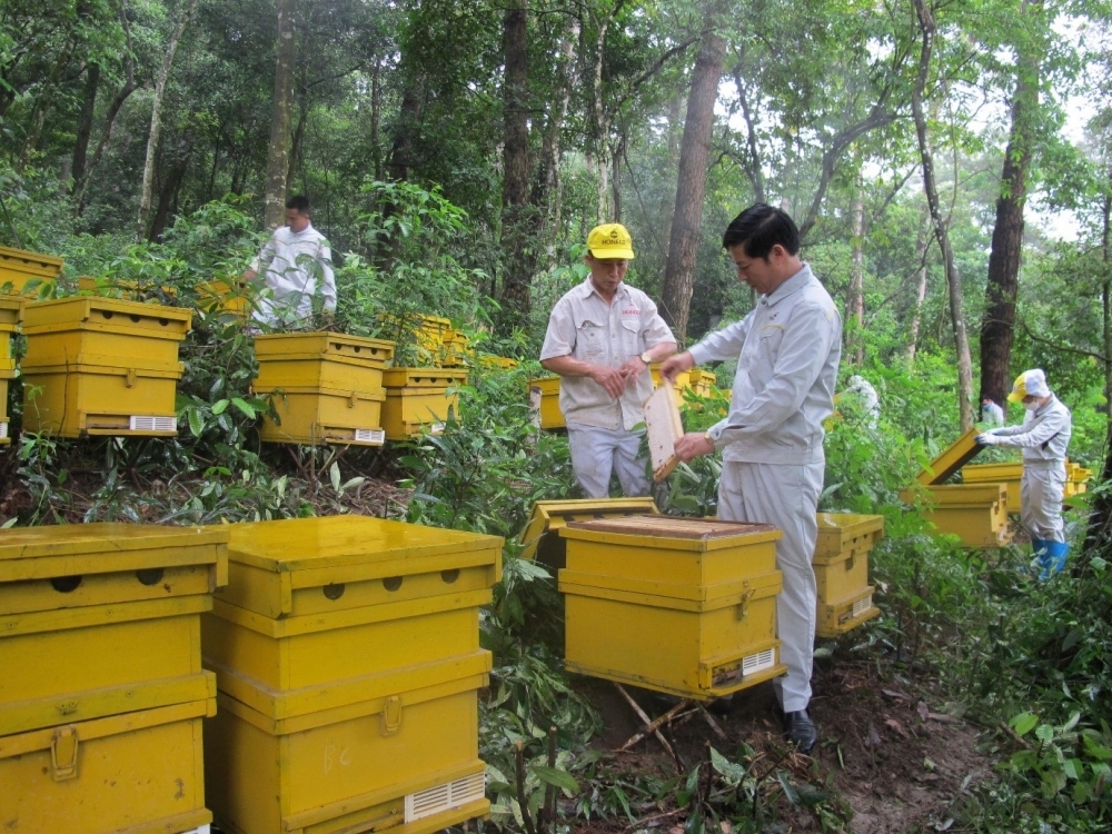 Phú Thọ: Thúc đẩy phát triển nông nghiệp công nghệ cao Phú Thọ: Thúc đẩy phát triển nông nghiệp công nghệ cao