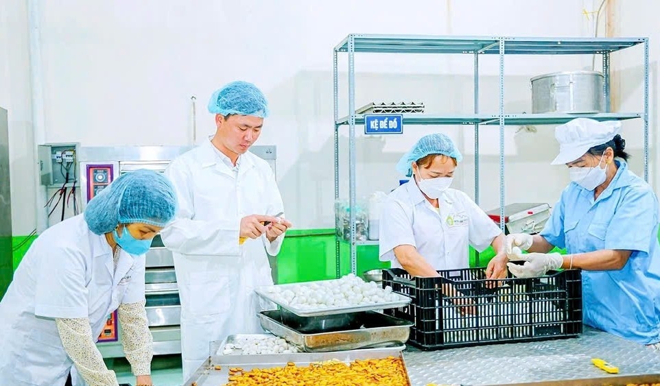 Giám đốc HTX nấm Tam Đảo được Bộ Nông nghiệp & Môi trường tặng bằng khen Giám đốc HTX nấm Tam Đảo được Bộ Nông nghiệp & Môi trường tặng bằng khen