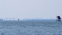 Hải Phòng: Cưỡng chế các hộ nuôi ngao không phép tại huyện Tiên Lãng