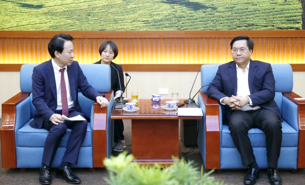 Chủ tịch UBND tỉnh Trần Duy Đông tiếp và làm việc với lãnh đạo Tập đoàn Sumitomo (Nhật Bản)