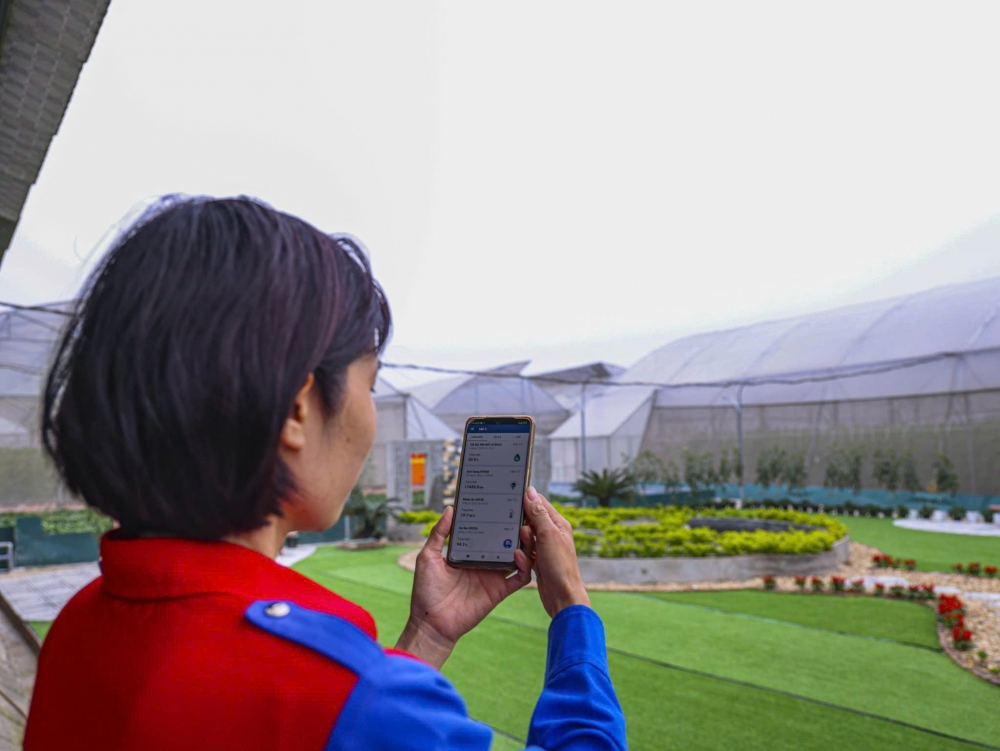 Nông trại Đào Gia Trang của chị Văn Thị Yến, xã Vĩnh Tường đang áp dụng trồng các loại rau, quả sạch với quy trình sản xuất ứng dụng công nghệ cao. Nông trại Đào Gia Trang của chị Văn Thị Yến, xã Vĩnh Tường đang áp dụng trồng các loại rau, quả sạch với quy trình sản xuất ứng dụng công nghệ cao.