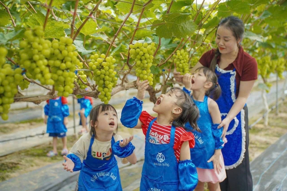 nông trại còn phát triển lĩnh vực du lịch trải nghiệm, góp phần nâng cao giá trị kinh tế và quảng bá hình ảnh nông nghiệp hiện đại, thúc đẩy chuyển dịch cơ cấu kinh tế địa phương. nông trại còn phát triển lĩnh vực du lịch trải nghiệm, góp phần nâng cao giá trị kinh tế và quảng bá hình ảnh nông nghiệp hiện đại, thúc đẩy chuyển dịch cơ cấu kinh tế địa phương.