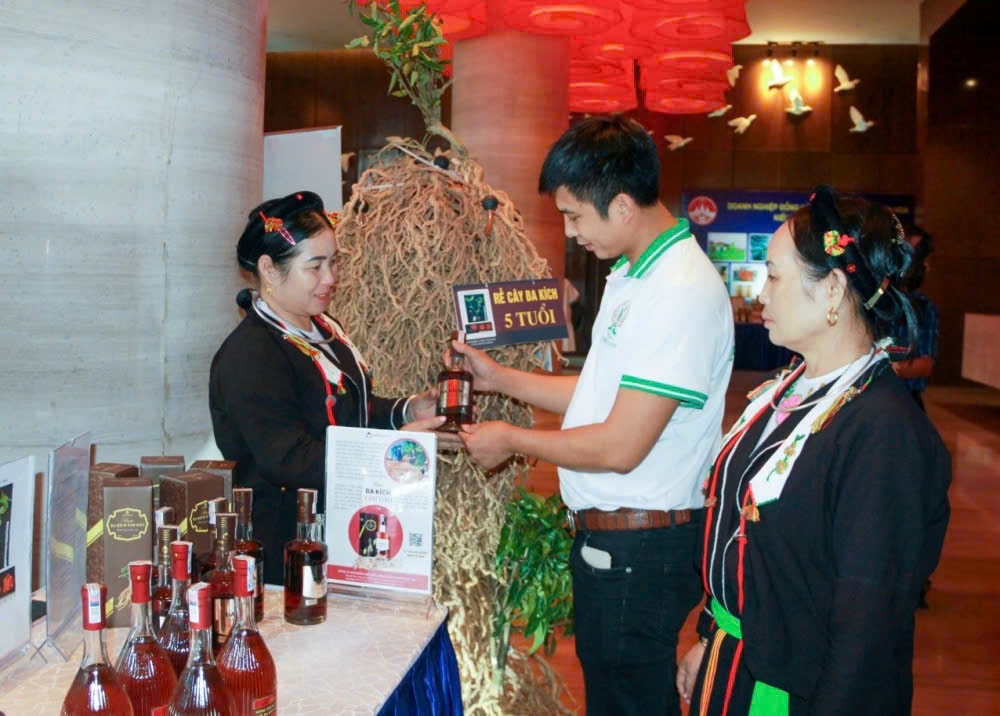 Công ty Cổ phần chế biến Minh Phúc An, xã Tam Đảo liên kết với hàng chục hộ dân trồng ba kích trên địa bàn để tạo ra các sản phẩm thương hiệu địa phương có giá trị cao. Công ty Cổ phần chế biến Minh Phúc An, xã Tam Đảo liên kết với hàng chục hộ dân trồng ba kích trên địa bàn để tạo ra các sản phẩm thương hiệu địa phương có giá trị cao.