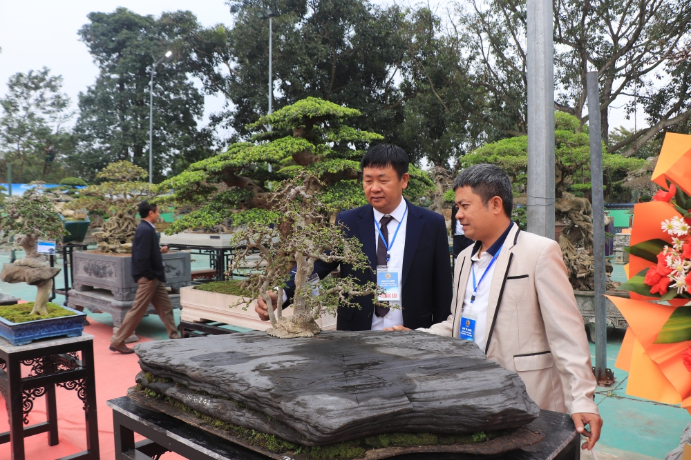 Phú Thọ: Khai mạc Triển lãm tác phẩm sinh vật cảnh nghệ thuật