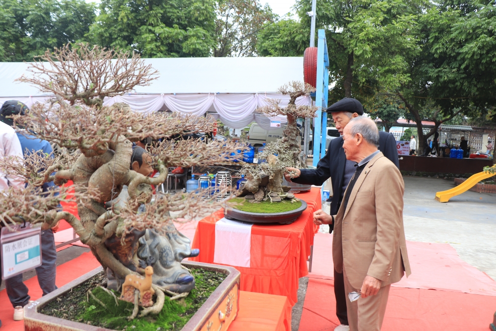 Phú Thọ: Khai mạc Triển lãm tác phẩm sinh vật cảnh nghệ thuật