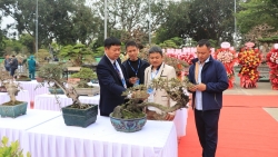 trien lam sinh vat canh tai phu tho ton vinh nghe thuat lan toa gia tri nhan van