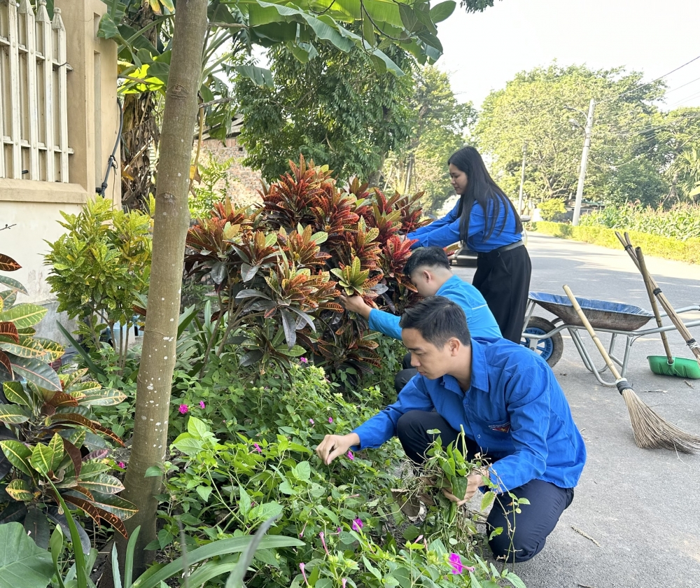 Phú Thọ: Tuổi trẻ Vĩnh Thành xung kích xây dựng quê hương Phú Thọ: Tuổi trẻ Vĩnh Thành xung kích xây dựng quê hương