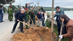 phuong xuan hoa trong cay cai tao canh quan ven ho dai lai