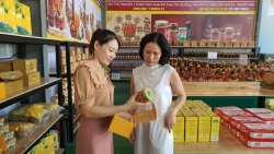 ic4 tam dao xanh khang dinh thuong hieu diem dung nghi chat luong