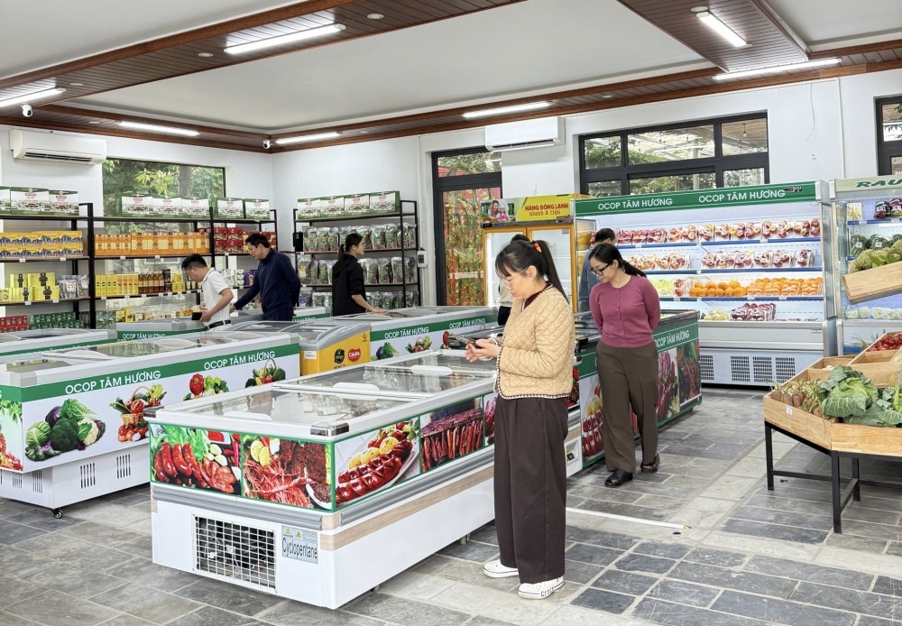 Hệ thống OCOP Tâm Hương cơ sở 4: Kết nối tinh hoa nông sản vùng miền Hệ thống OCOP Tâm Hương cơ sở 4: Kết nối tinh hoa nông sản vùng miền