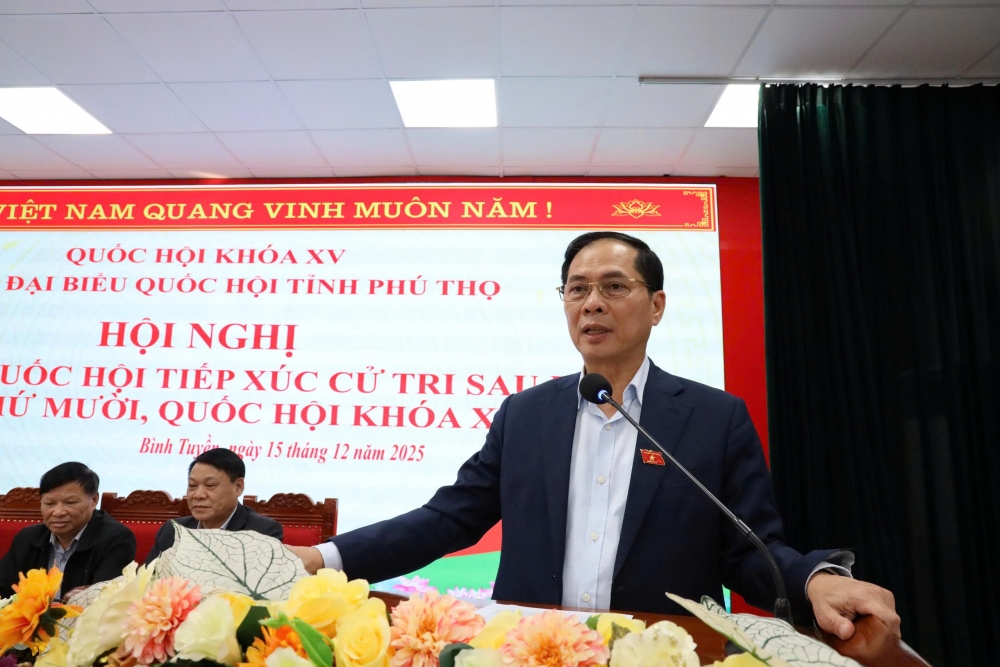 Phó Thủ tướng Chính phủ Bùi Thanh Sơn phát biểu tại hội nghị tiếp xúc cử tri