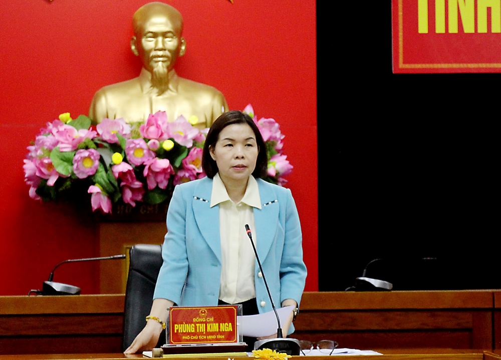 Phó Chủ tịch UBND tỉnh Phùng Thị Kim Nga phát biểu chỉ đạo tại hội nghị Phó Chủ tịch UBND tỉnh Phùng Thị Kim Nga phát biểu chỉ đạo tại hội nghị