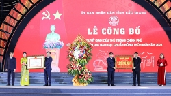 Bắc Giang: Công bố quyết định công nhận huyện Lục Nam đạt chuẩn nông thôn mới