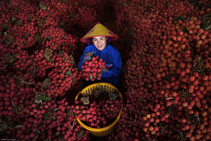 Giải Nhất cuộc thi sáng tác biểu trưng tỉnh Bắc Ninh trị giá 200 triệu đồng